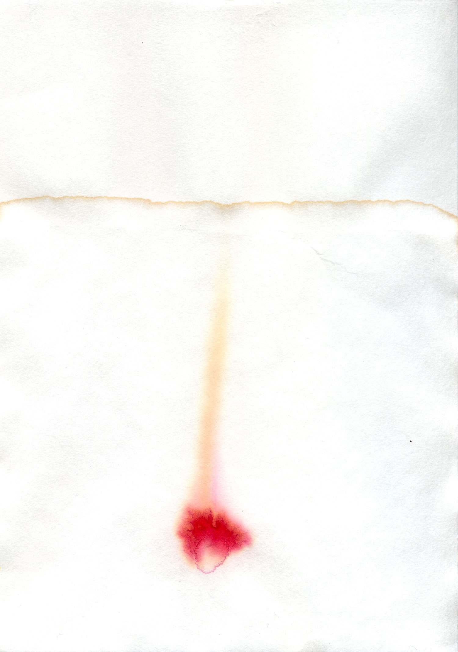 Euan Williams, Original (Colour), Paper (Number)